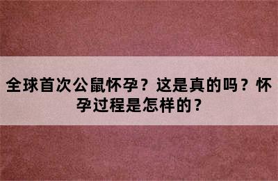 全球首次公鼠怀孕？这是真的吗？怀孕过程是怎样的？