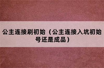 公主连接刷初始（公主连接入坑初始号还是成品）