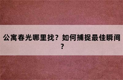 公寓春光哪里找？如何捕捉最佳瞬间？