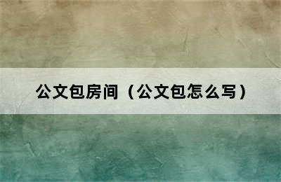 公文包房间（公文包怎么写）