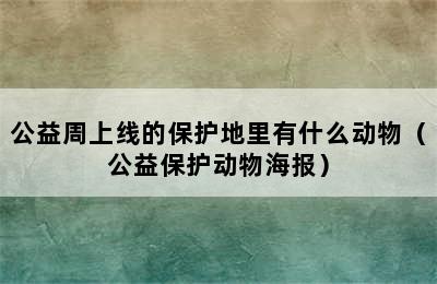 公益周上线的保护地里有什么动物（公益保护动物海报）