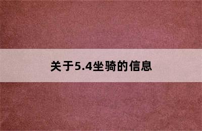 关于5.4坐骑的信息