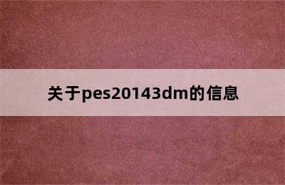 关于pes20143dm的信息