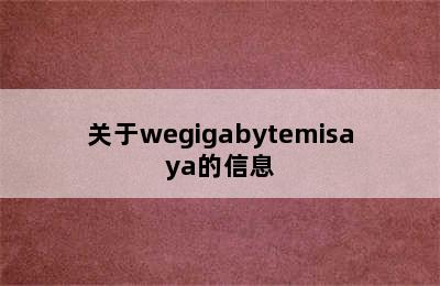 关于wegigabytemisaya的信息