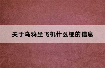 关于乌鸦坐飞机什么梗的信息