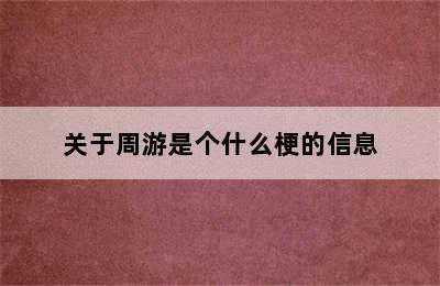 关于周游是个什么梗的信息