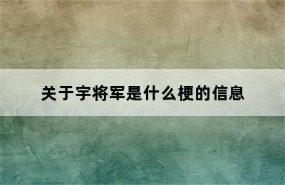 关于宇将军是什么梗的信息