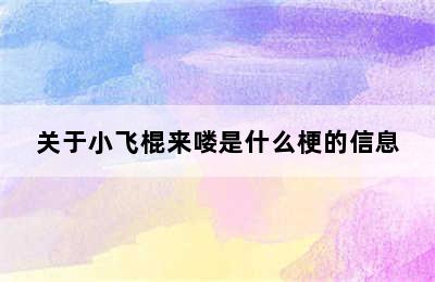 关于小飞棍来喽是什么梗的信息