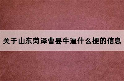 关于山东菏泽曹县牛逼什么梗的信息