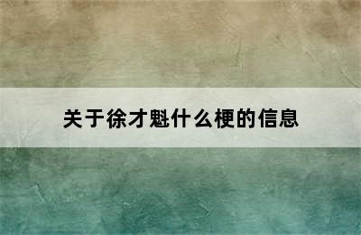 关于徐才魁什么梗的信息