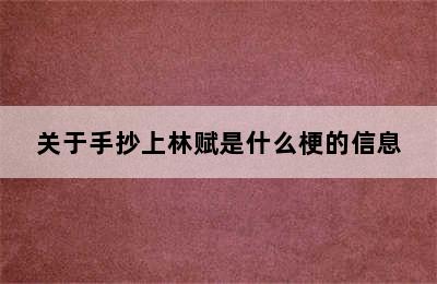 关于手抄上林赋是什么梗的信息