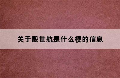 关于殷世航是什么梗的信息