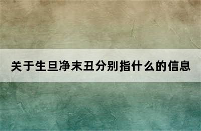 关于生旦净末丑分别指什么的信息