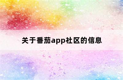 关于番茄app社区的信息