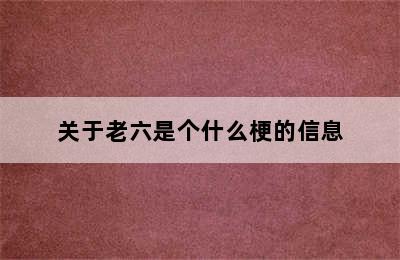 关于老六是个什么梗的信息