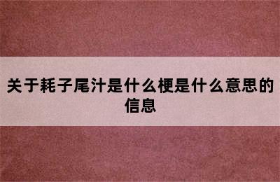 关于耗子尾汁是什么梗是什么意思的信息