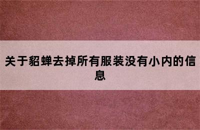 关于貂蝉去掉所有服装没有小内的信息