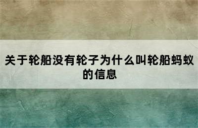 关于轮船没有轮子为什么叫轮船蚂蚁的信息