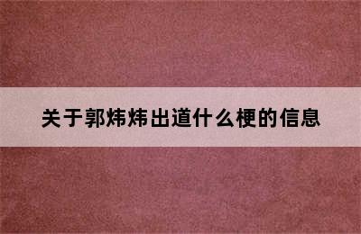 关于郭炜炜出道什么梗的信息