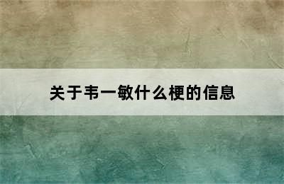 关于韦一敏什么梗的信息