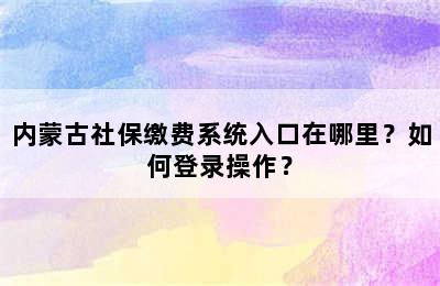 内蒙古社保缴费系统入口在哪里？如何登录操作？