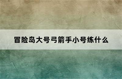 冒险岛大号弓箭手小号练什么