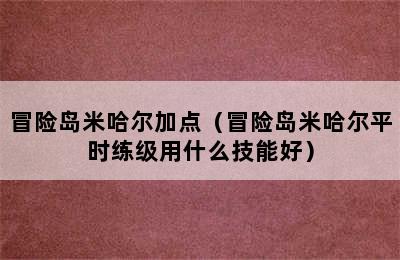 冒险岛米哈尔加点（冒险岛米哈尔平时练级用什么技能好）