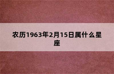 农历1963年2月15日属什么星座