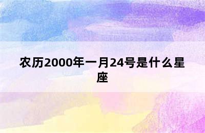 农历2000年一月24号是什么星座