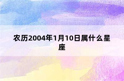 农历2004年1月10日属什么星座