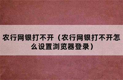 农行网银打不开（农行网银打不开怎么设置浏览器登录）