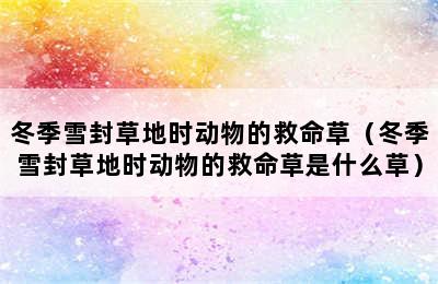 冬季雪封草地时动物的救命草（冬季雪封草地时动物的救命草是什么草）