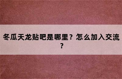 冬瓜天龙贴吧是哪里？怎么加入交流？