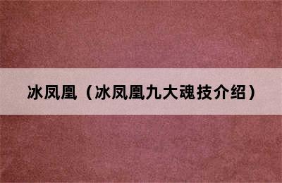 冰凤凰（冰凤凰九大魂技介绍）