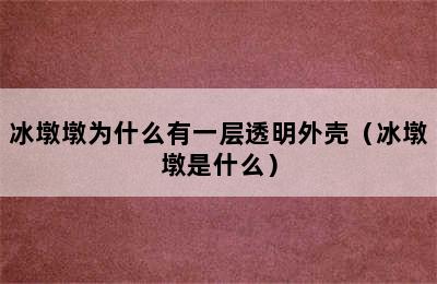 冰墩墩为什么有一层透明外壳（冰墩墩是什么）