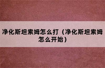 净化斯坦索姆怎么打（净化斯坦索姆怎么开始）