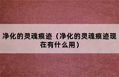 净化的灵魂痕迹（净化的灵魂痕迹现在有什么用）