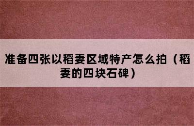 准备四张以稻妻区域特产怎么拍（稻妻的四块石碑）