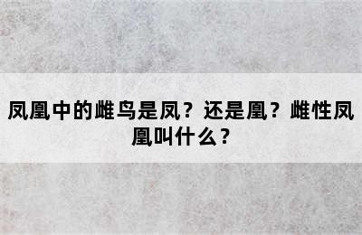 凤凰中的雌鸟是凤？还是凰？雌性凤凰叫什么？