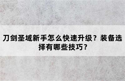 刀剑圣域新手怎么快速升级？装备选择有哪些技巧？