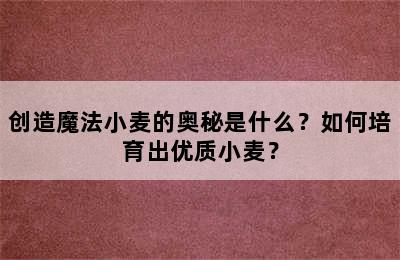 创造魔法小麦的奥秘是什么？如何培育出优质小麦？