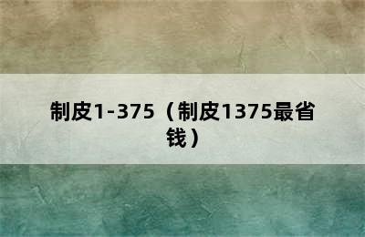 制皮1-375（制皮1375最省钱）