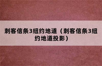 刺客信条3纽约地道（刺客信条3纽约地道投影）