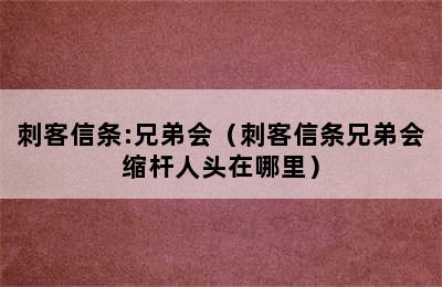 刺客信条:兄弟会（刺客信条兄弟会缩杆人头在哪里）