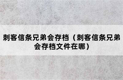 刺客信条兄弟会存档（刺客信条兄弟会存档文件在哪）