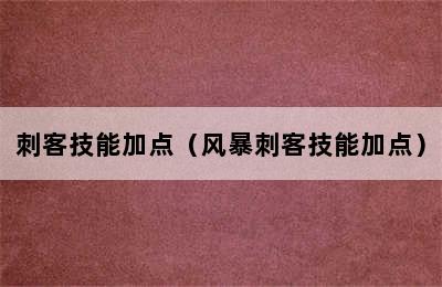 刺客技能加点（风暴刺客技能加点）