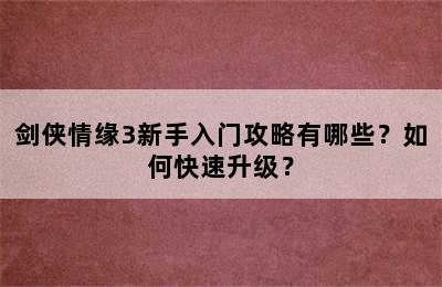 剑侠情缘3新手入门攻略有哪些？如何快速升级？