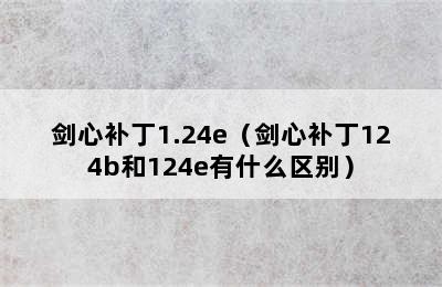 剑心补丁1.24e（剑心补丁124b和124e有什么区别）