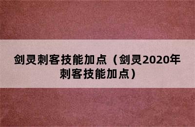 剑灵刺客技能加点（剑灵2020年刺客技能加点）