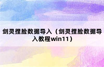 剑灵捏脸数据导入（剑灵捏脸数据导入教程win11）